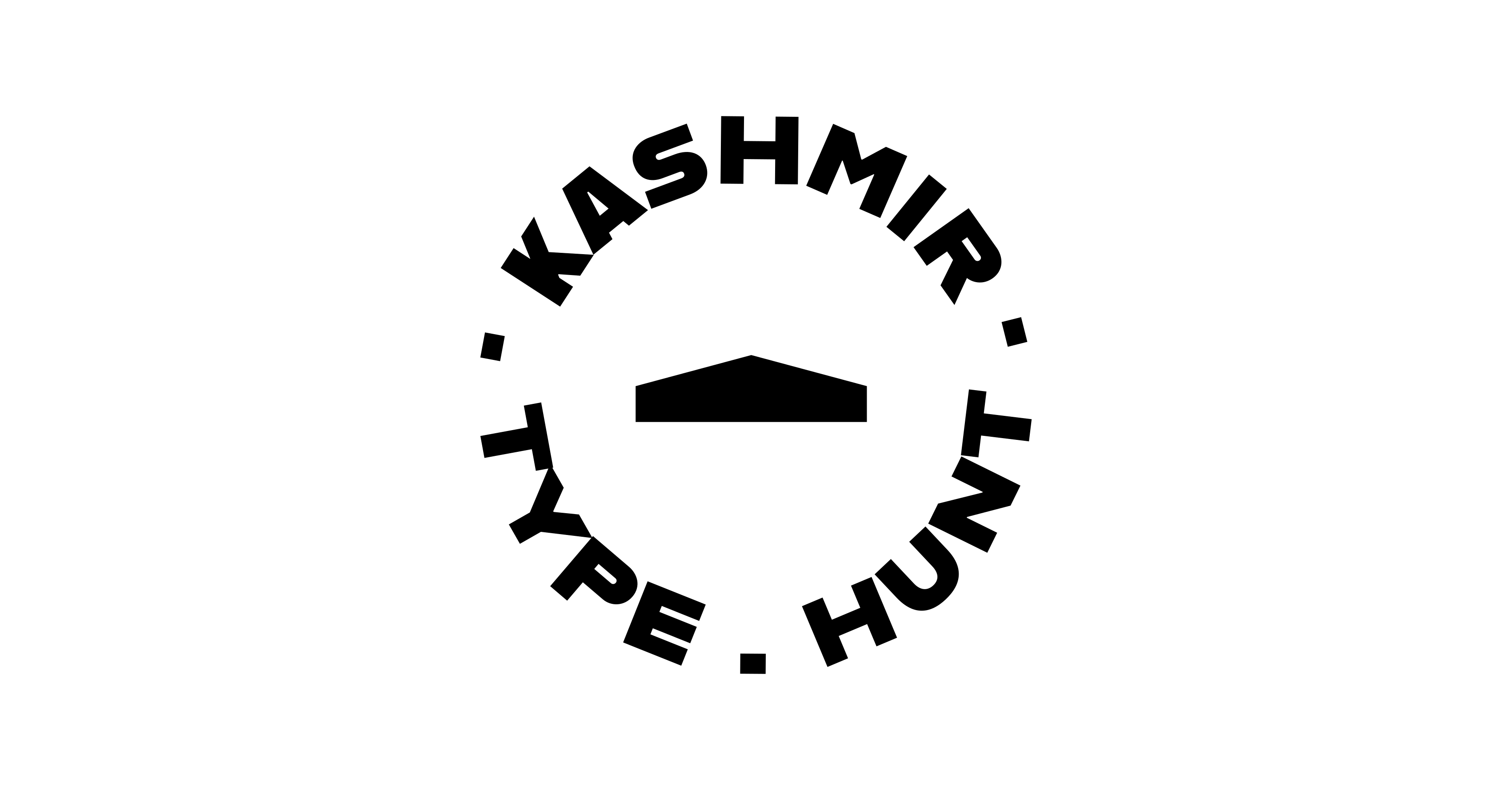 Kashmir Type Hunt